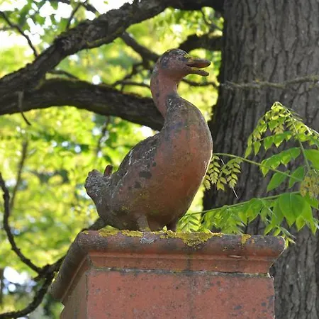 The Wolf Country House * 萨拉巴根泽